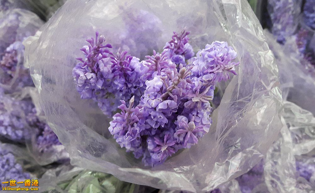 北區花鳥蟲魚-花 (8).jpg