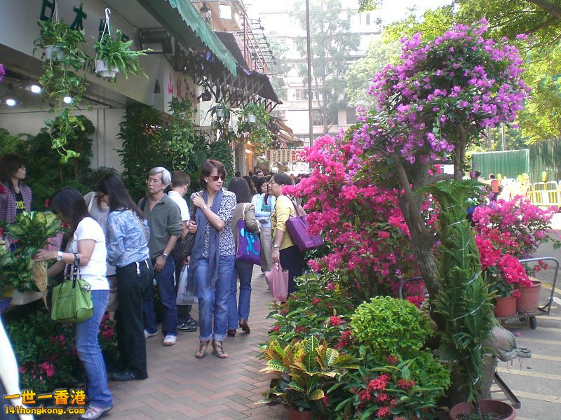 800px-HK_Mongkok_Flower_Market_Road_21.jpg