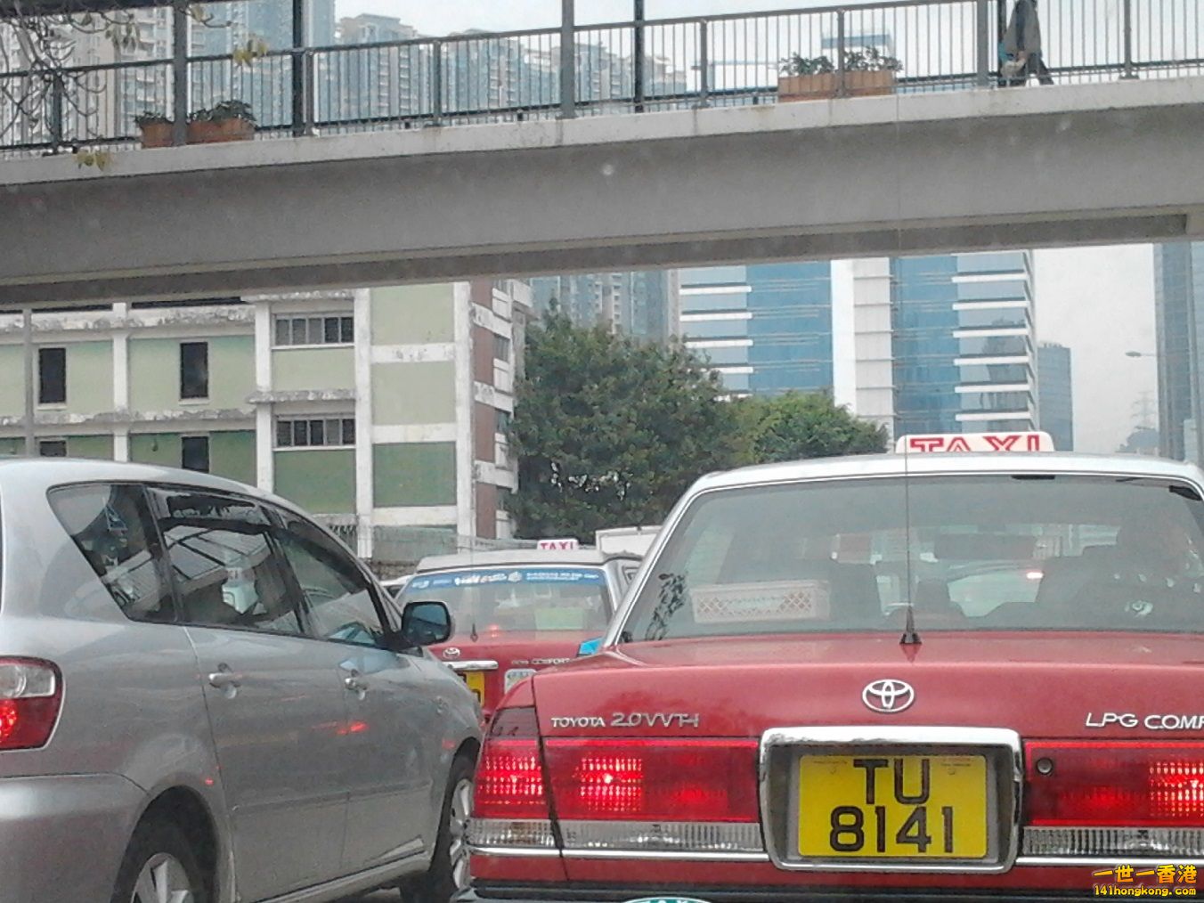 相片1342.jpg