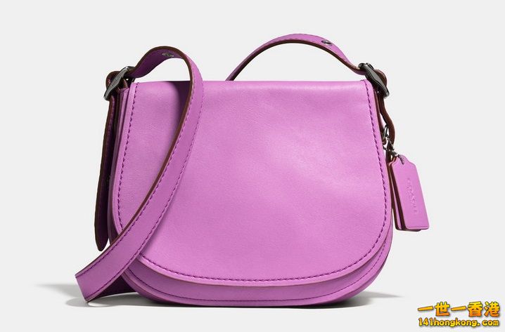 coach-saddle-4 718 x 473.jpg