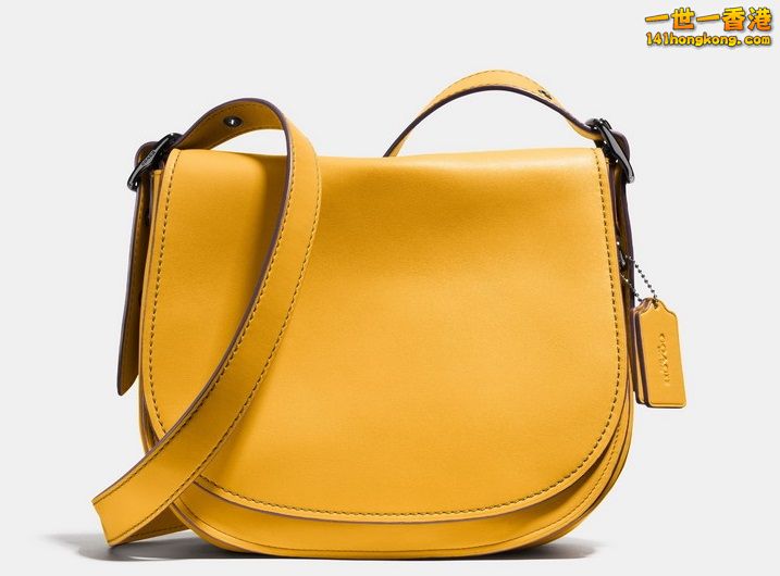 coach-saddle-6 718 x 530.jpg