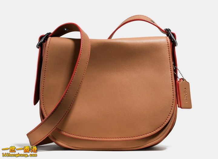 coach-saddle-7 720.jpg