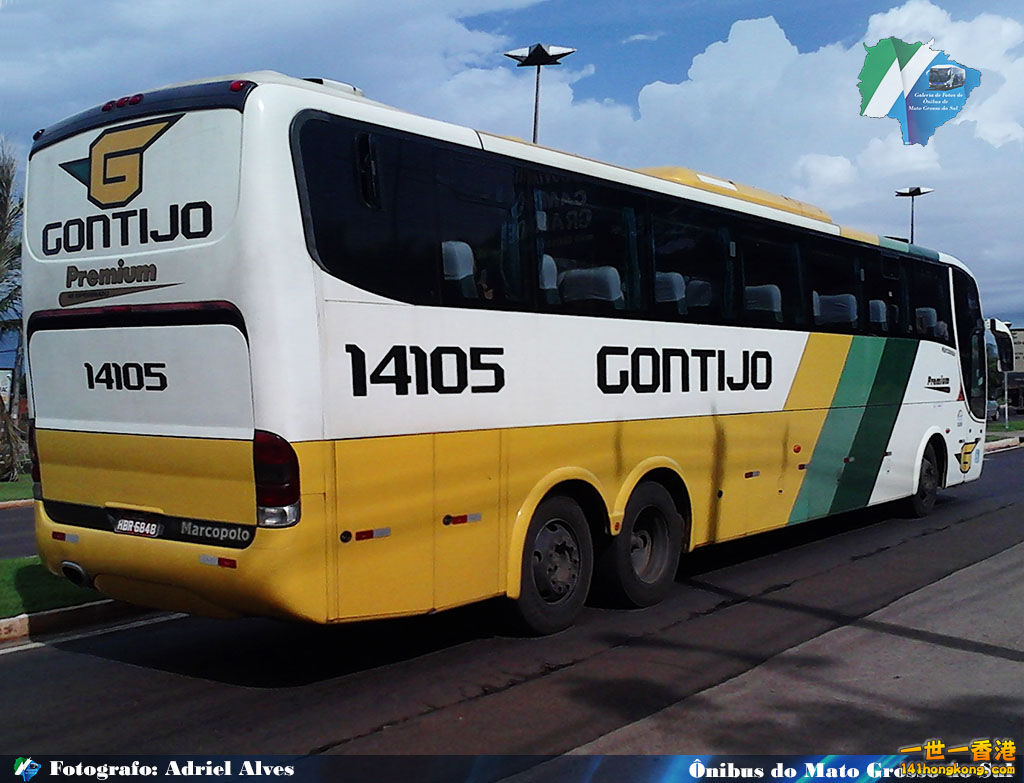 GBMS_02467_Gontijo_14105.jpg