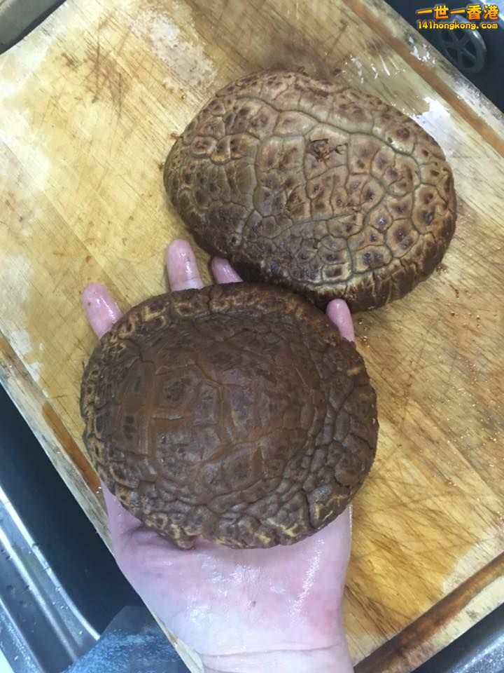 超級大冬菇3.jpg