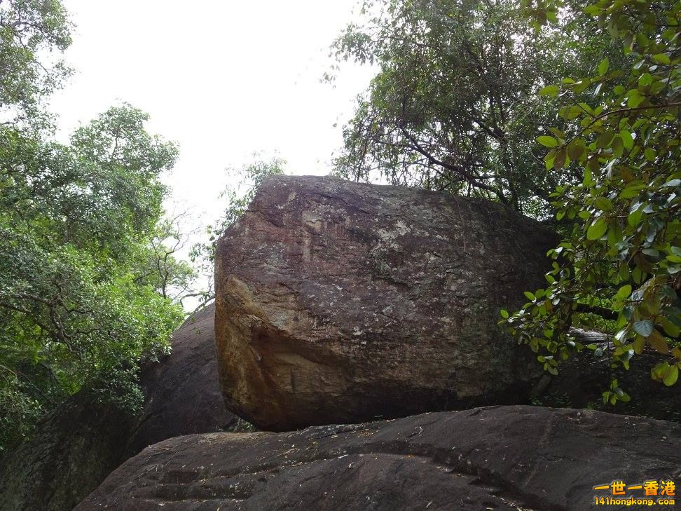 4b.jpg