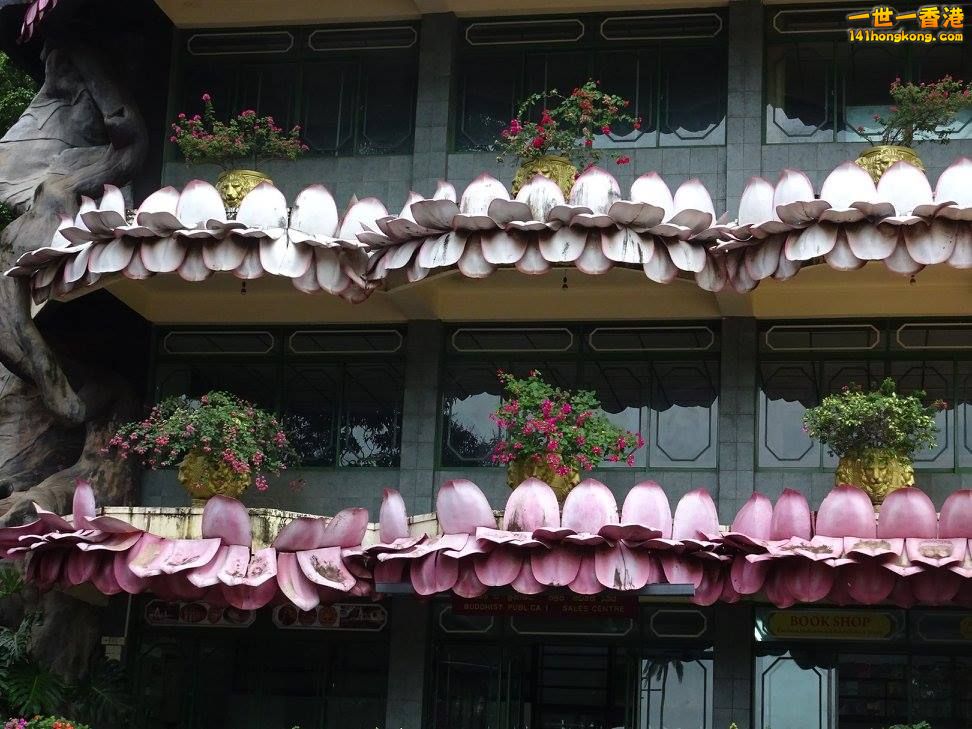 10b.jpg