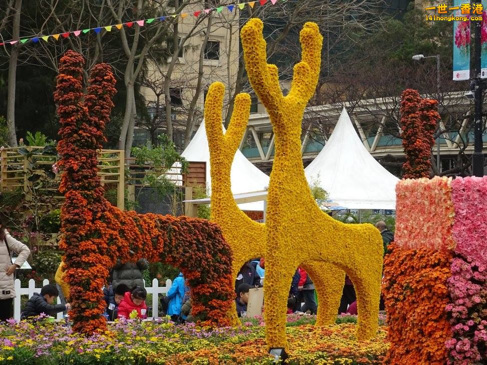 5b.jpg
