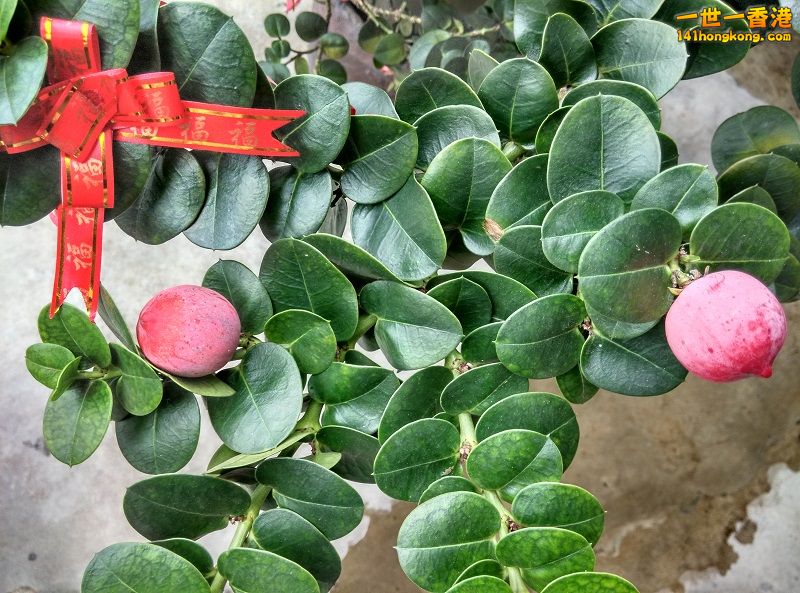 IMG_20160207_152418_HDR 800.jpg