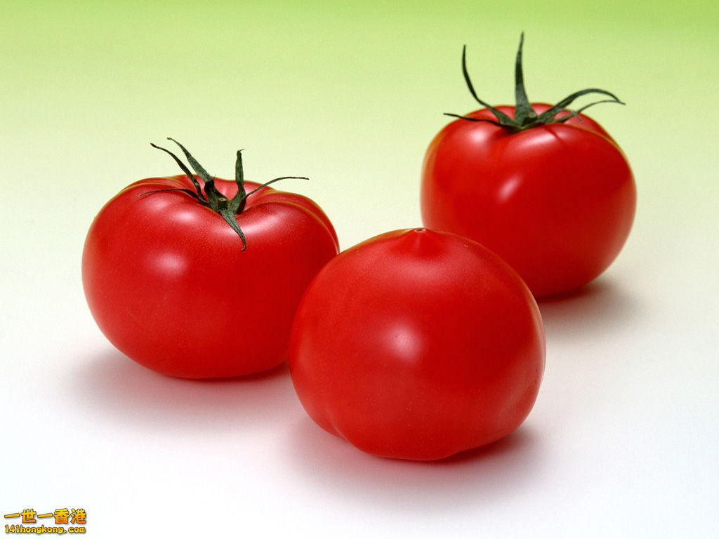 fruit_tomato_wallpaper_Vol_014_SN071.jpg