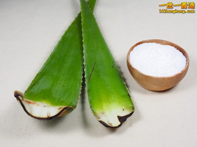 diy-handmade-lemon-aloe-cleaner-small-family-recipe-002 640.jpg