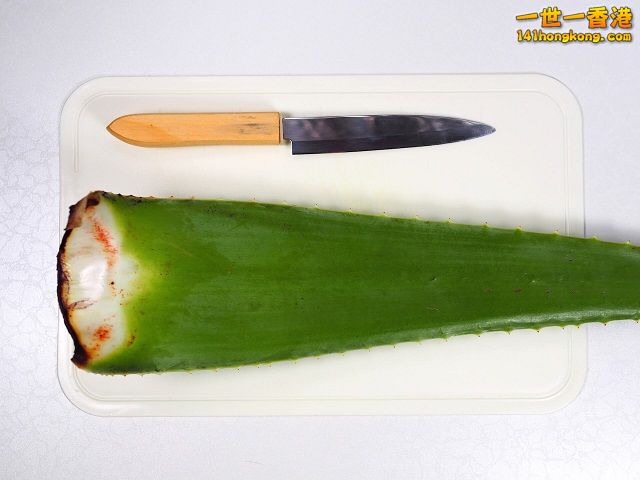 diy-handmade-lemon-aloe-cleaner-small-family-recipe-010 640.jpg