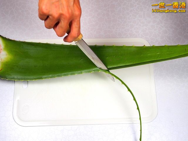 diy-handmade-lemon-aloe-cleaner-small-family-recipe-013 640.jpg