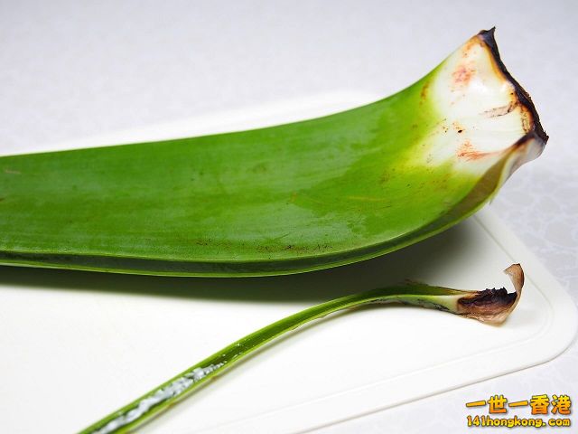 diy-handmade-lemon-aloe-cleaner-small-family-recipe-014 640.jpg