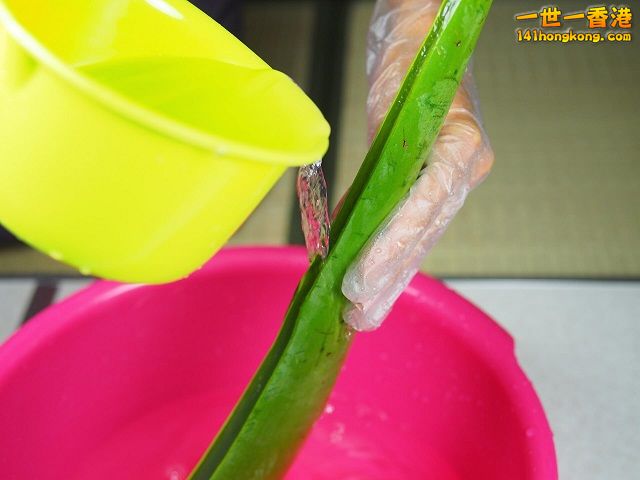 diy-handmade-lemon-aloe-cleaner-small-family-recipe-015 640.jpg