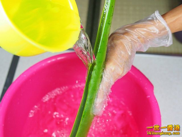diy-handmade-lemon-aloe-cleaner-small-family-recipe-016 640.jpg
