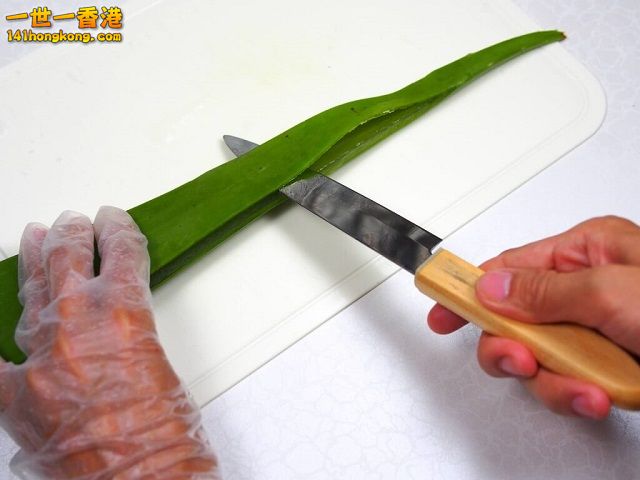 diy-handmade-lemon-aloe-cleaner-small-family-recipe-019-1024x768 640.jpg