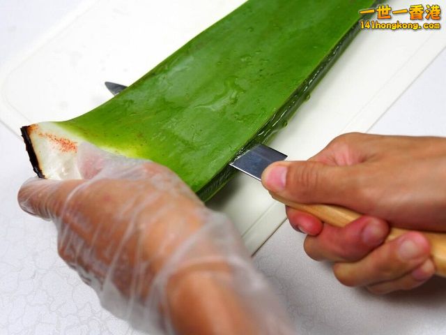 diy-handmade-lemon-aloe-cleaner-small-family-recipe-021-1024x768 640.jpg