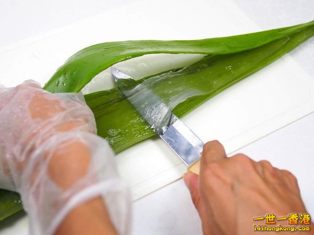 diy-handmade-lemon-aloe-cleaner-small-family-recipe-023-1024x768 640.jpg