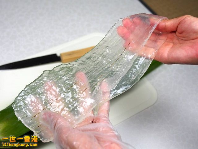 diy-handmade-lemon-aloe-cleaner-small-family-recipe-026-1024x768 640.jpg