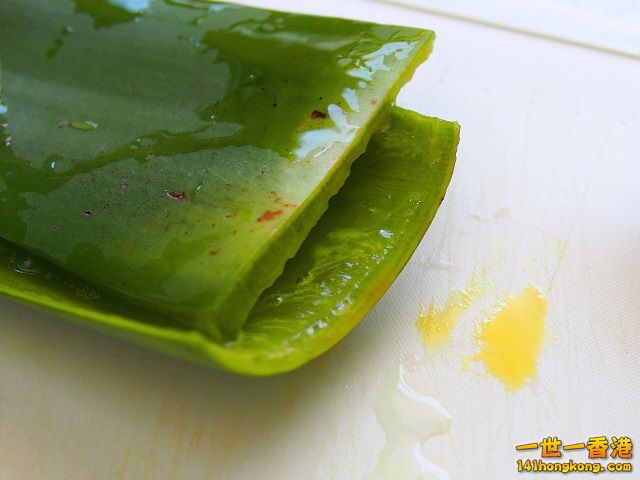 diy-handmade-lemon-aloe-cleaner-small-family-recipe-0381 640.jpg