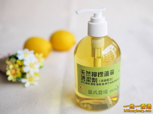 diy-handmade-lemon-aloe-cleaner-small-family-recipe-0382 640.jpg