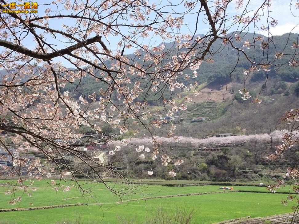 10b.jpg