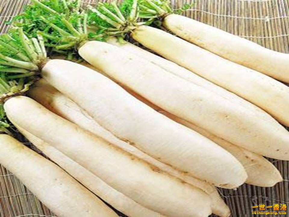 白蘿蔔.jpg