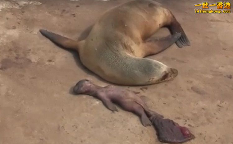 5718f2d255d89 750.jpg