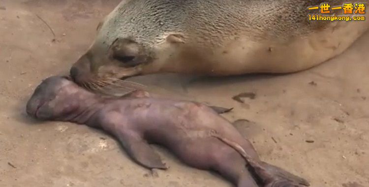 5718f2d157b6b 750.jpg