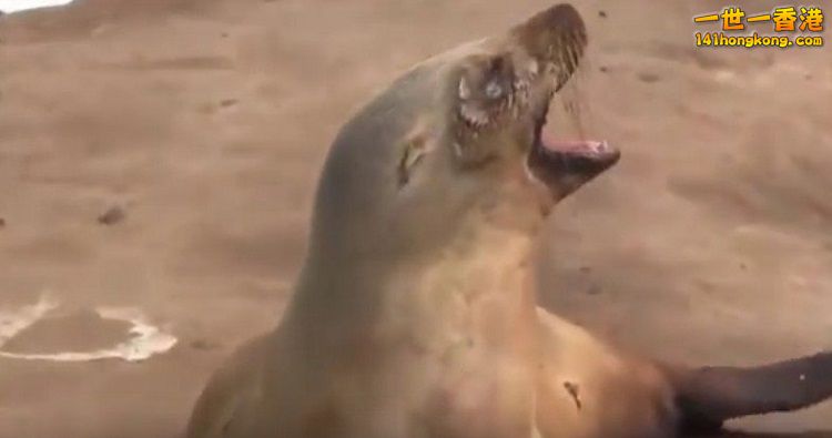 5718f2d1b5585 750.jpg