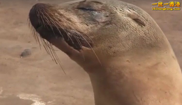 5718f2d3ccf63 750.jpg