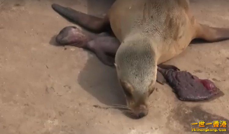 5718f2d501d57 750.jpg