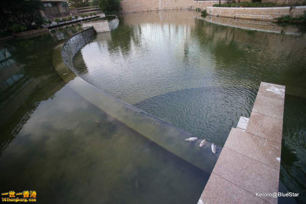 DSC01474.JPG