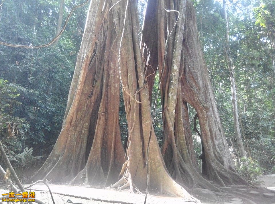 224012zddd17rmw7roho3d.jpg