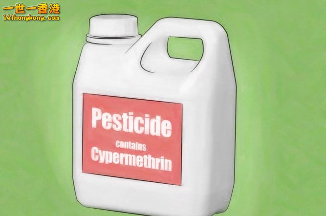 14478074955073 o.jpg