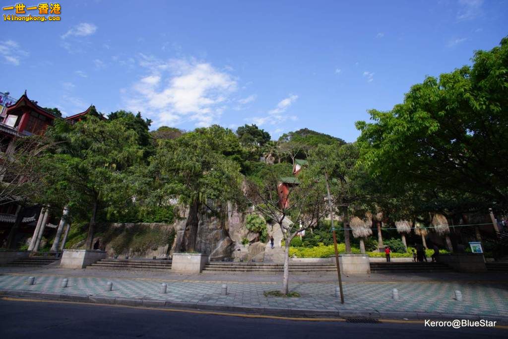 DSC08250.JPG