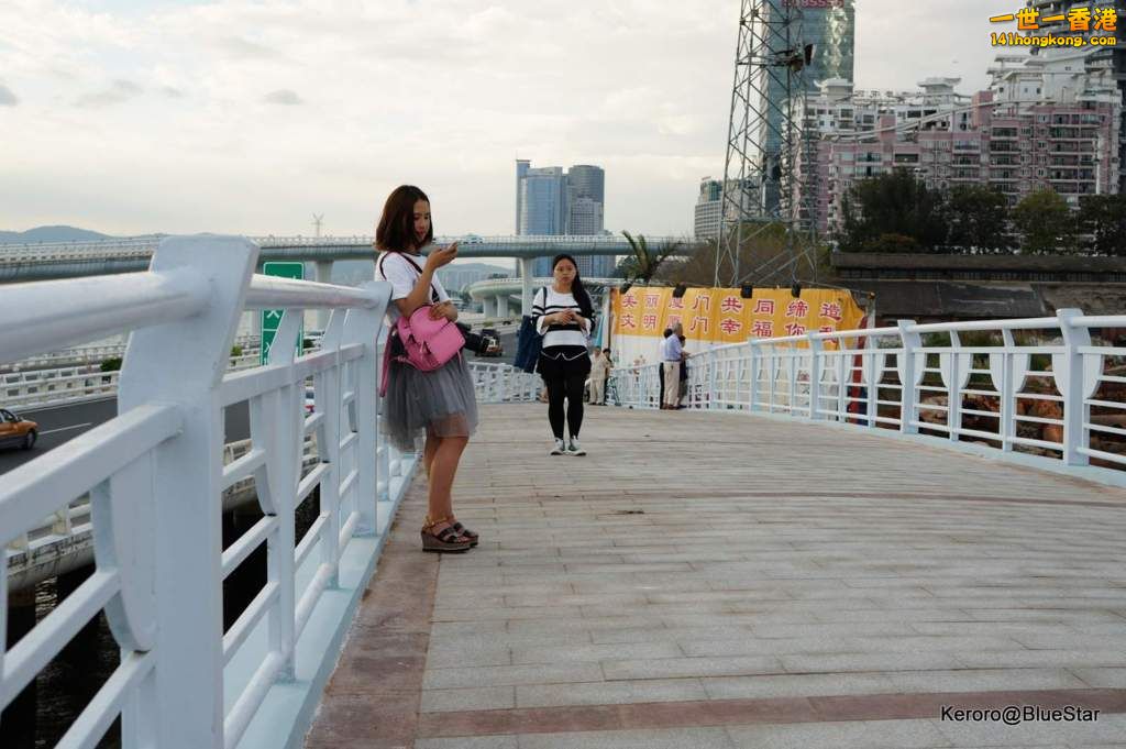 DSC08394.JPG