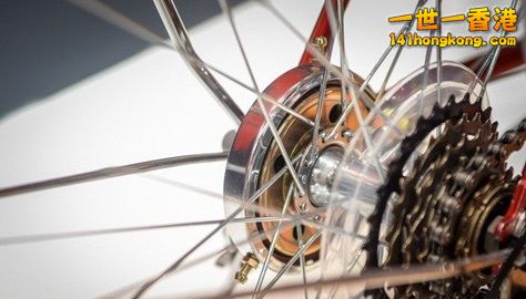 ca78119040a42b788c1d28061f9d627e 474.jpg