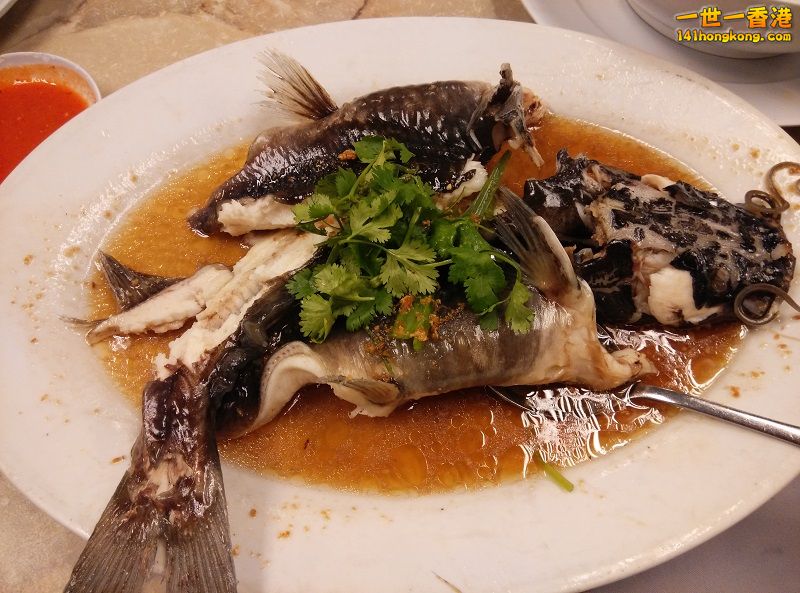 IMG_20160430_204030 800.jpg