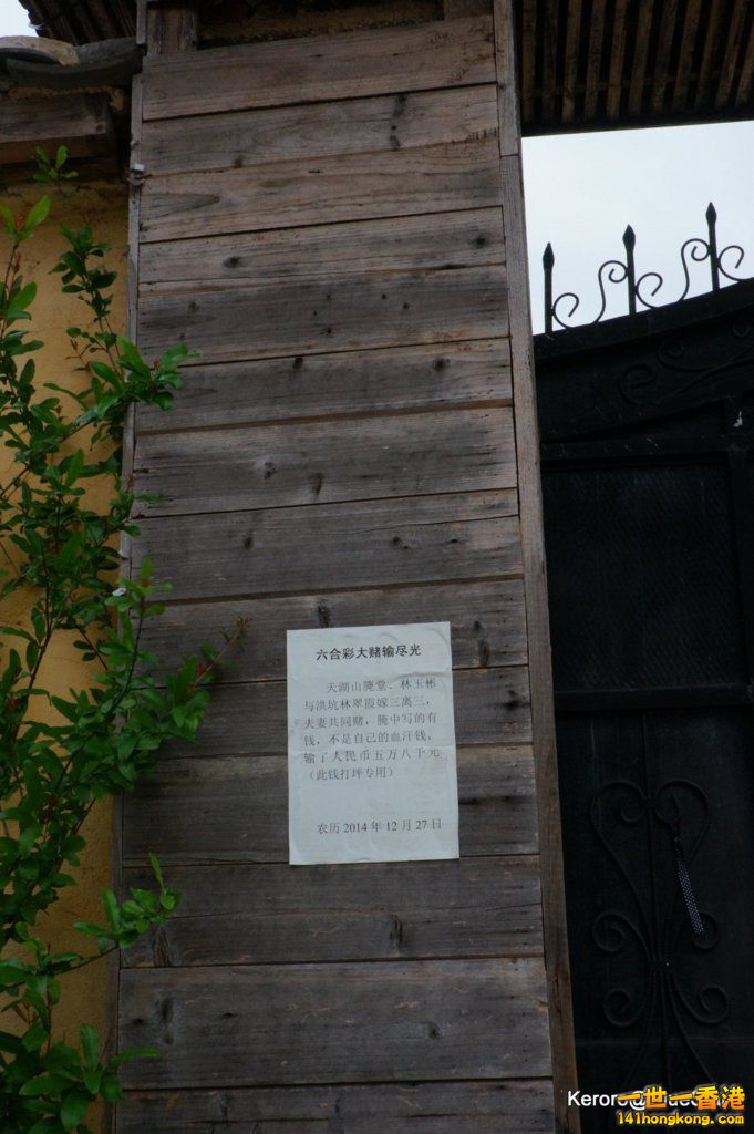 DSC08502.JPG