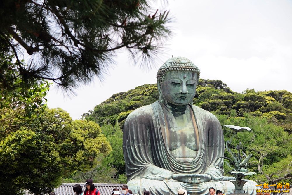 IMG_0016.JPG