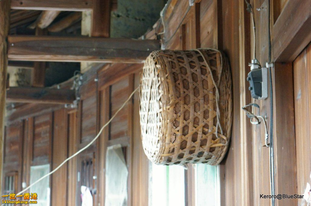 DSC08528-001.JPG