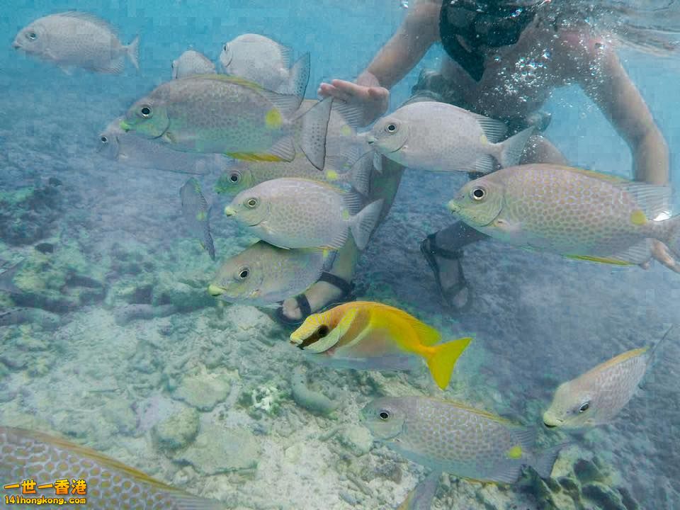龜島   -  07.jpg