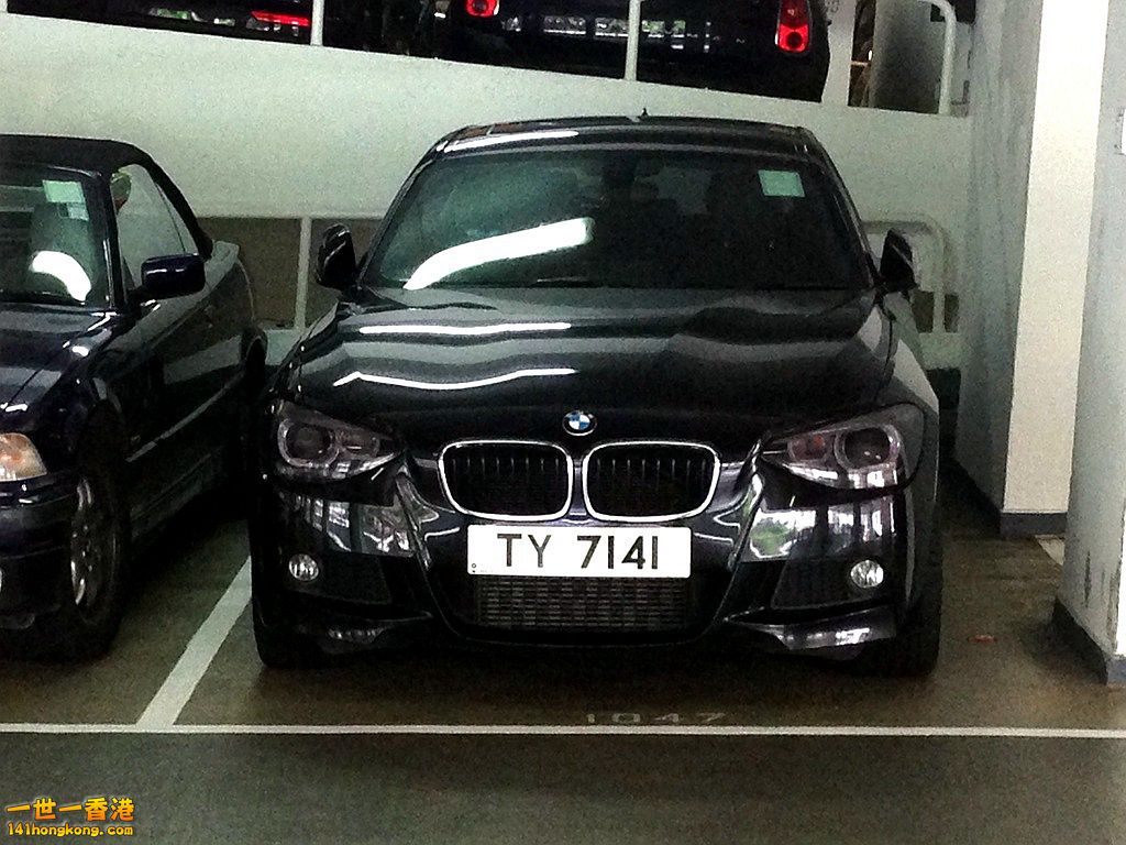 TY7141.JPG