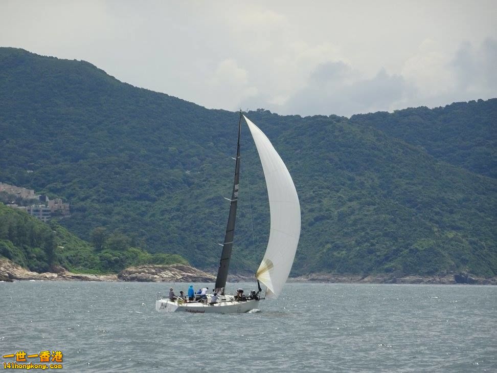 8b.jpg