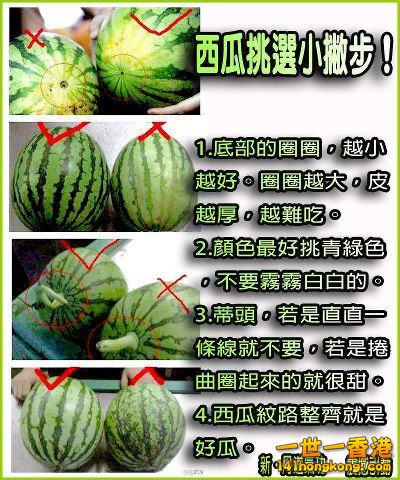 挑西瓜.jpg