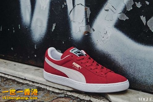 PUMA23.jpg