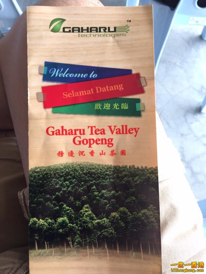 Gaharu Tea Valley Gopeng (務邊沉香山茶園)   a.jpg