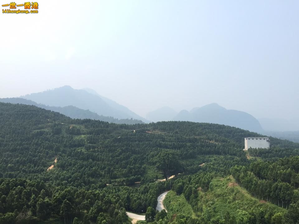 Gaharu Tea Valley Gopeng (務邊沉香山茶園)   b.jpg