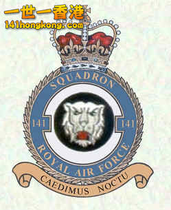 141Sqn.jpg